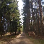 W Starej Szkole - * Pieczarki