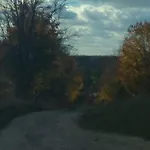 W Starej Szkole - Pieczarki