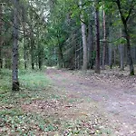 W Starej Szkole - * Pieczarki