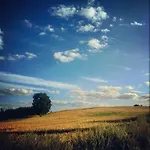 W Starej Szkole - *