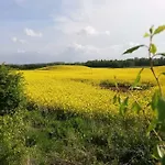 W Starej Szkole - *