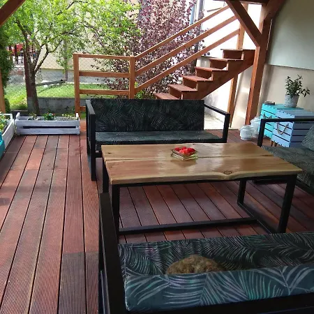 W Starej Szkole - * Pieczarki