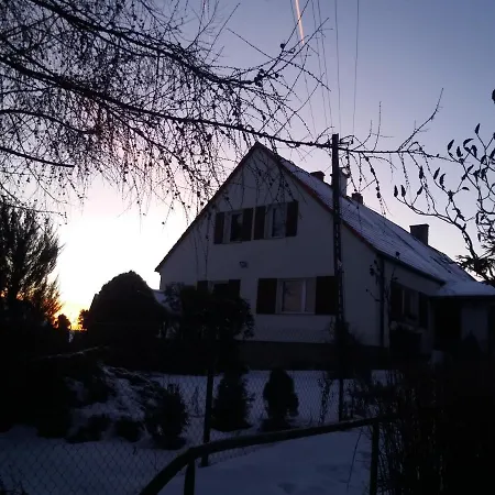 W Starej Szkole - Pieczarki