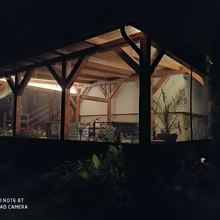 W Starej Szkole - * Pieczarki