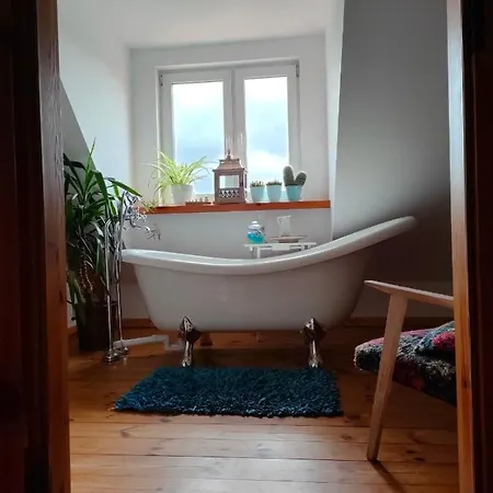 W Starej Szkole - Pieczarki