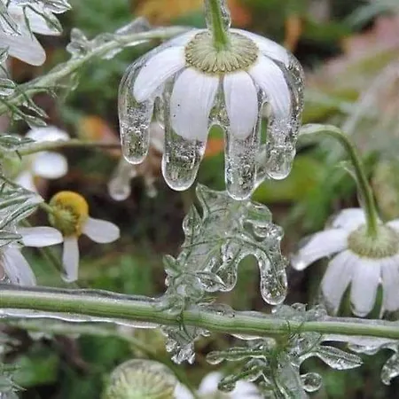 W Starej Szkole - Ferienhaus