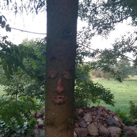 W Starej Szkole - Pieczarki