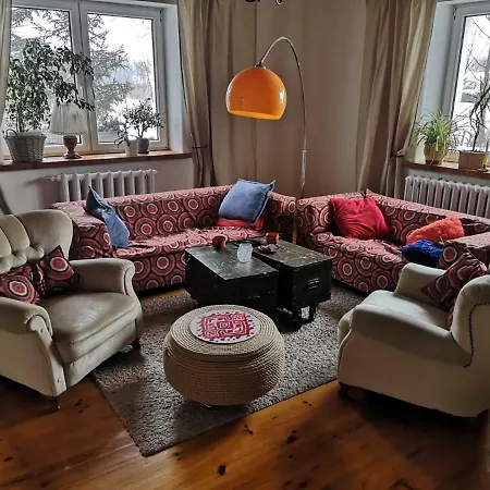 W Starej Szkole - Pieczarki