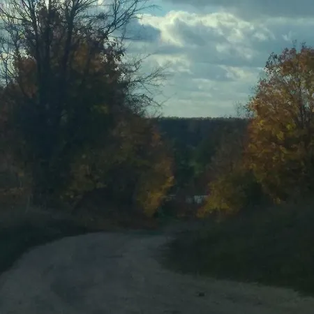 W Starej Szkole - Pieczarki