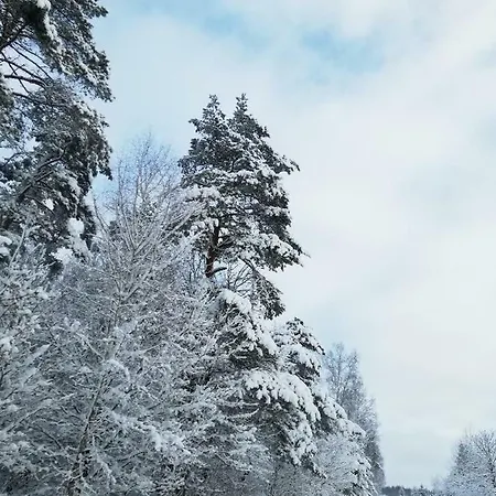 W Starej Szkole - Ferienhaus