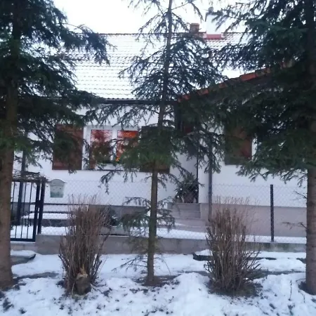 W Starej Szkole - Pieczarki