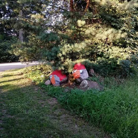 W Starej Szkole -