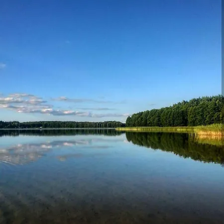 W Starej Szkole - * Pieczarki