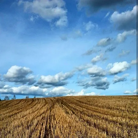 Ferienhaus W Starej Szkole -