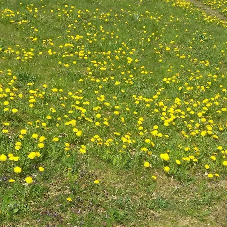 Casa vacanze W Starej Szkole -