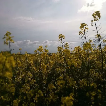 Casa vacanze W Starej Szkole - *